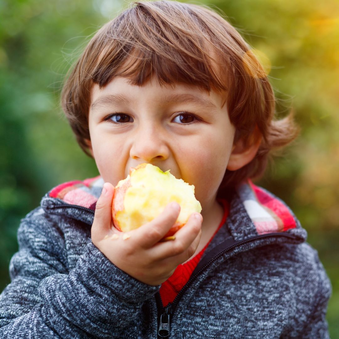 White child with short, brown hair in a fuzzy jacket eating an apple