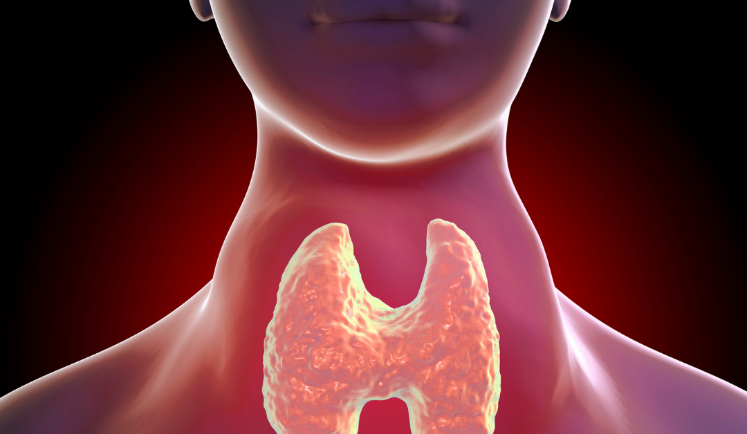 Unlocking Thyroid Health: A Comprehensive Guide for Thyroid Awareness Month