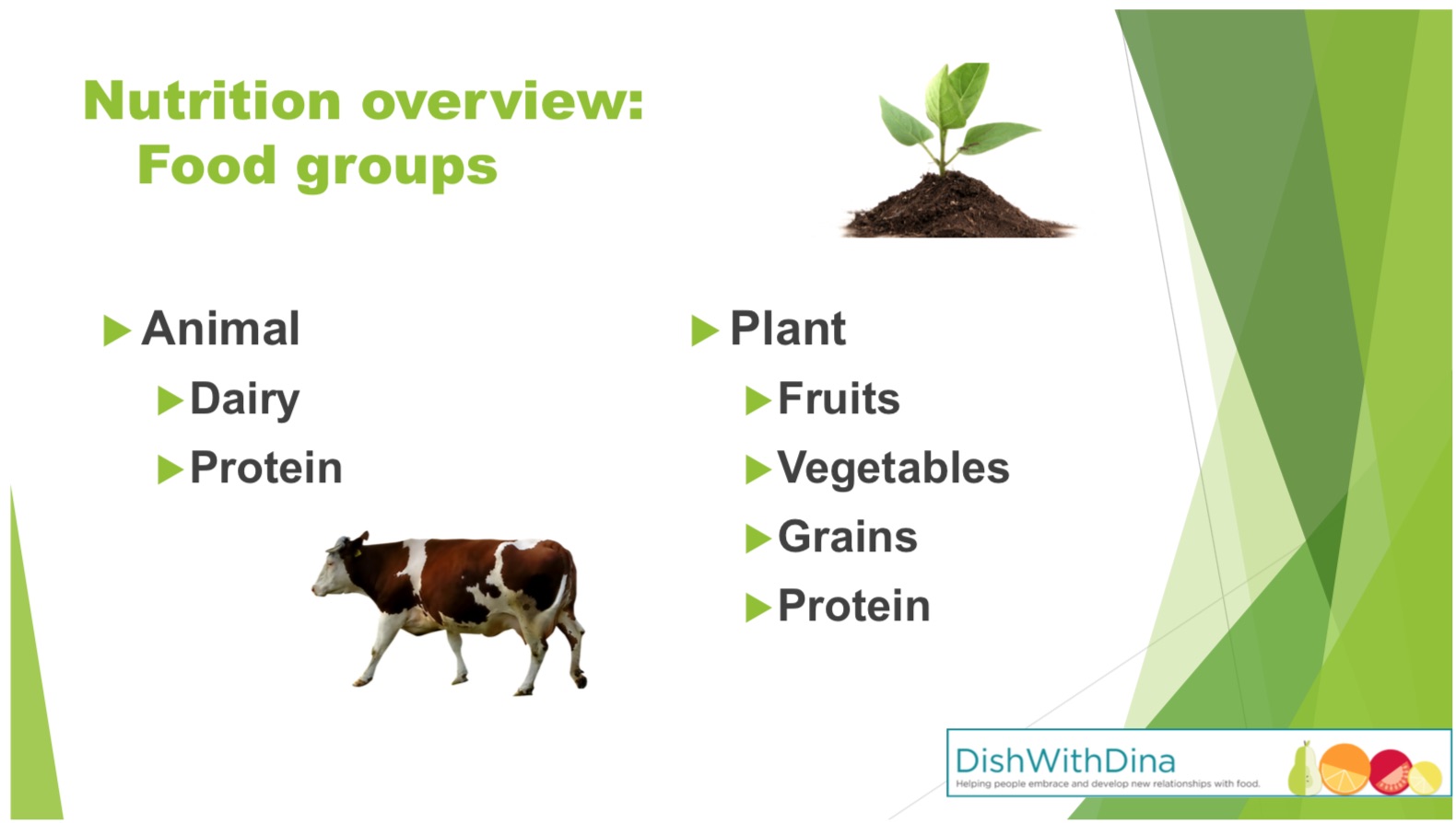 a powerpoint slide of Food Groups categorized as animal and plant