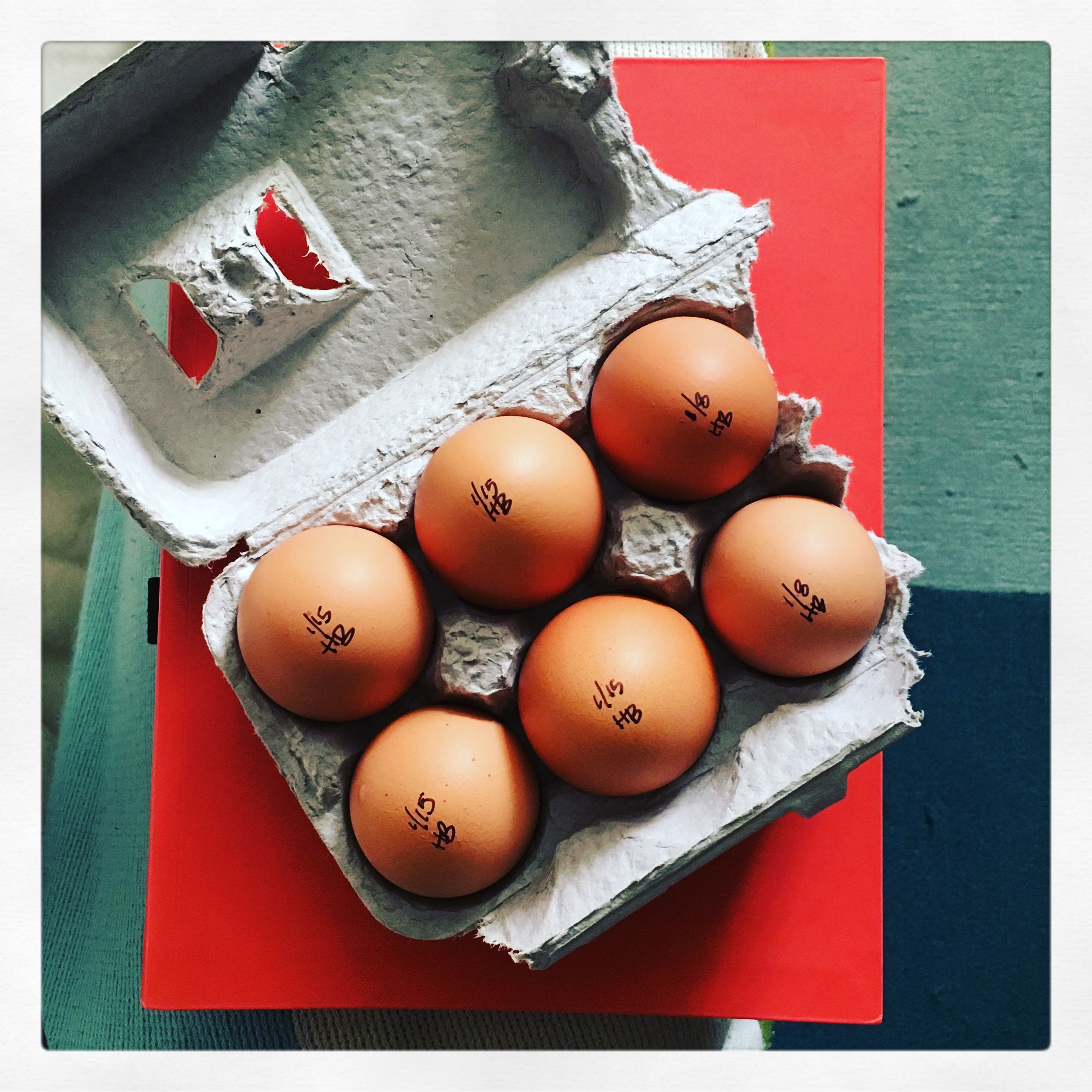 HB eggs_Veg