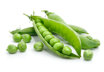 fresh green pea in the pod isolated
