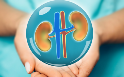 National Kidney Awareness Month: Nutrition for Prevention and Management