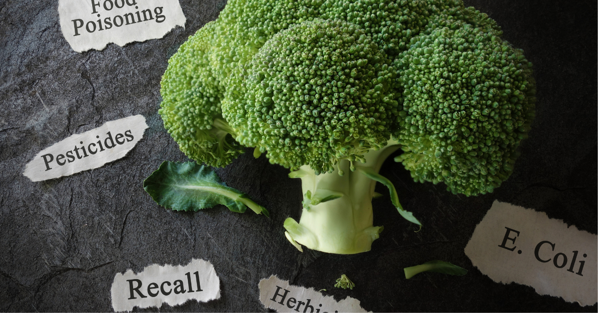 A head of broccoli on a table with food safety signs scattered about