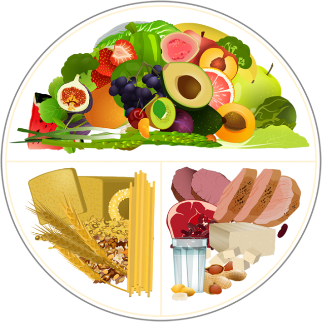 The Plate Method image shows a plate divided into 3 unequal parts: 2 quarters of the plate contain grain-based foods and protein foods; 1/2 of the plate contains plant foods.